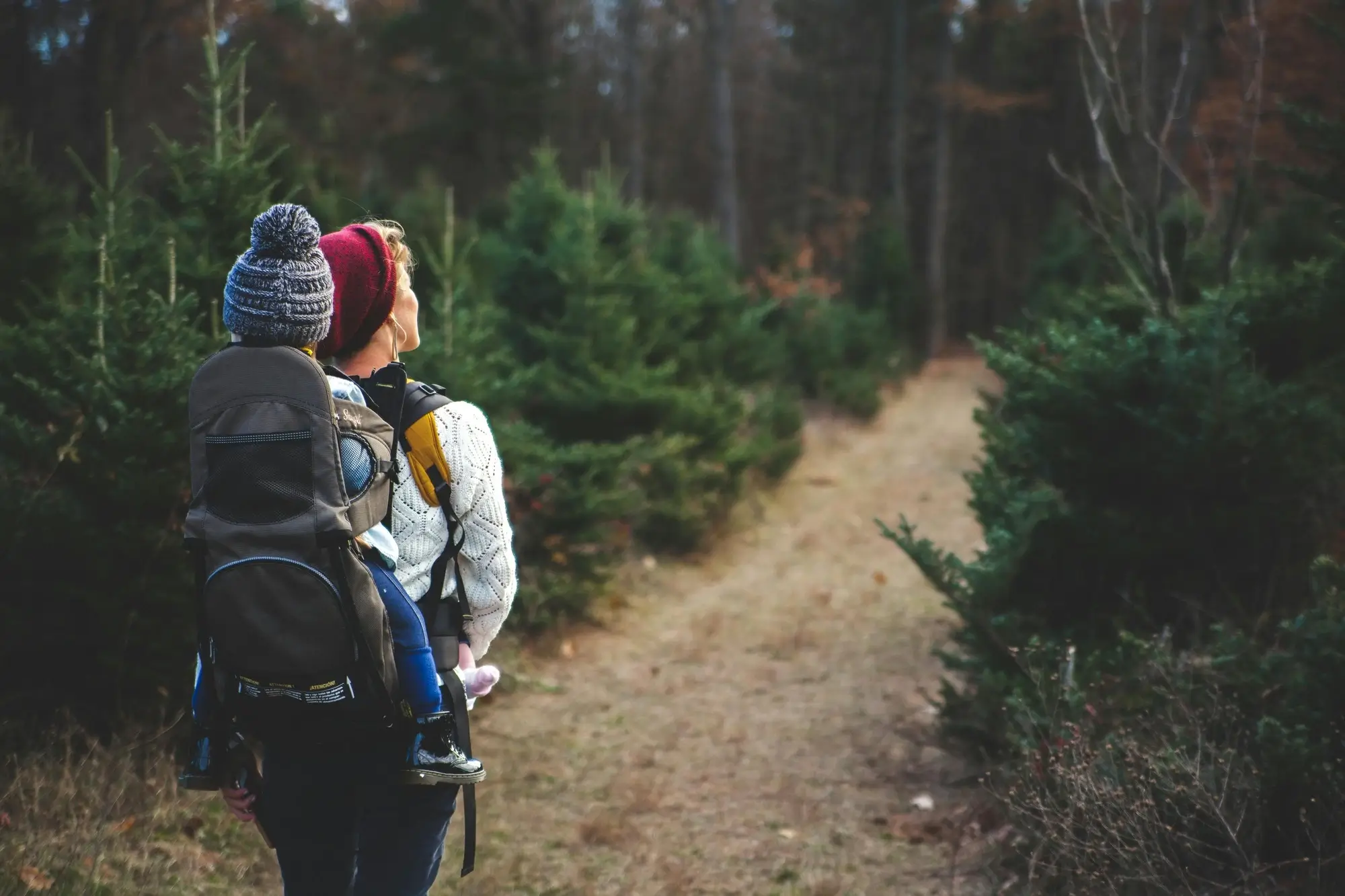 Top Hikes in Holladay, Utah for Every Hiker