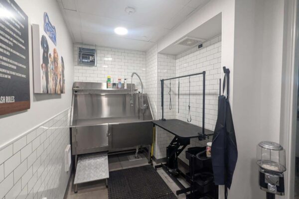 Mobile pet grooming station with a stainless steel wash tub, grooming table, and hoses in a white-tiled trailer room, ready for dogs to be washed.